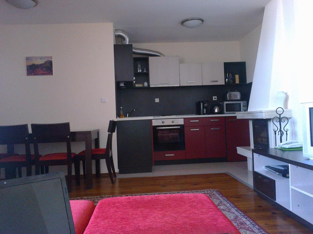 Mountview Lodge Apartments Banszko Kültér fotó